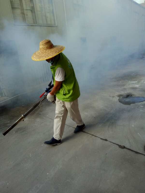石排镇白蚁预防公司杀白蚁怎么收费