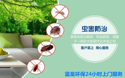 上海快速灭鼠公司怎么收费,上海灭鼠防虫服务 家庭灭鼠