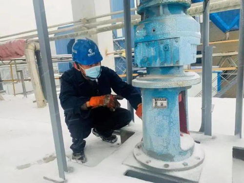 11 持续 青岛新一轮冷空气即将到货...网友苦等的雪后大片,也来了