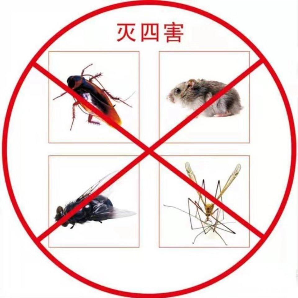 清洁保洁公司专业杀虫单灭老鼠蟑螂防治白蚁除虫项目清单收款单据