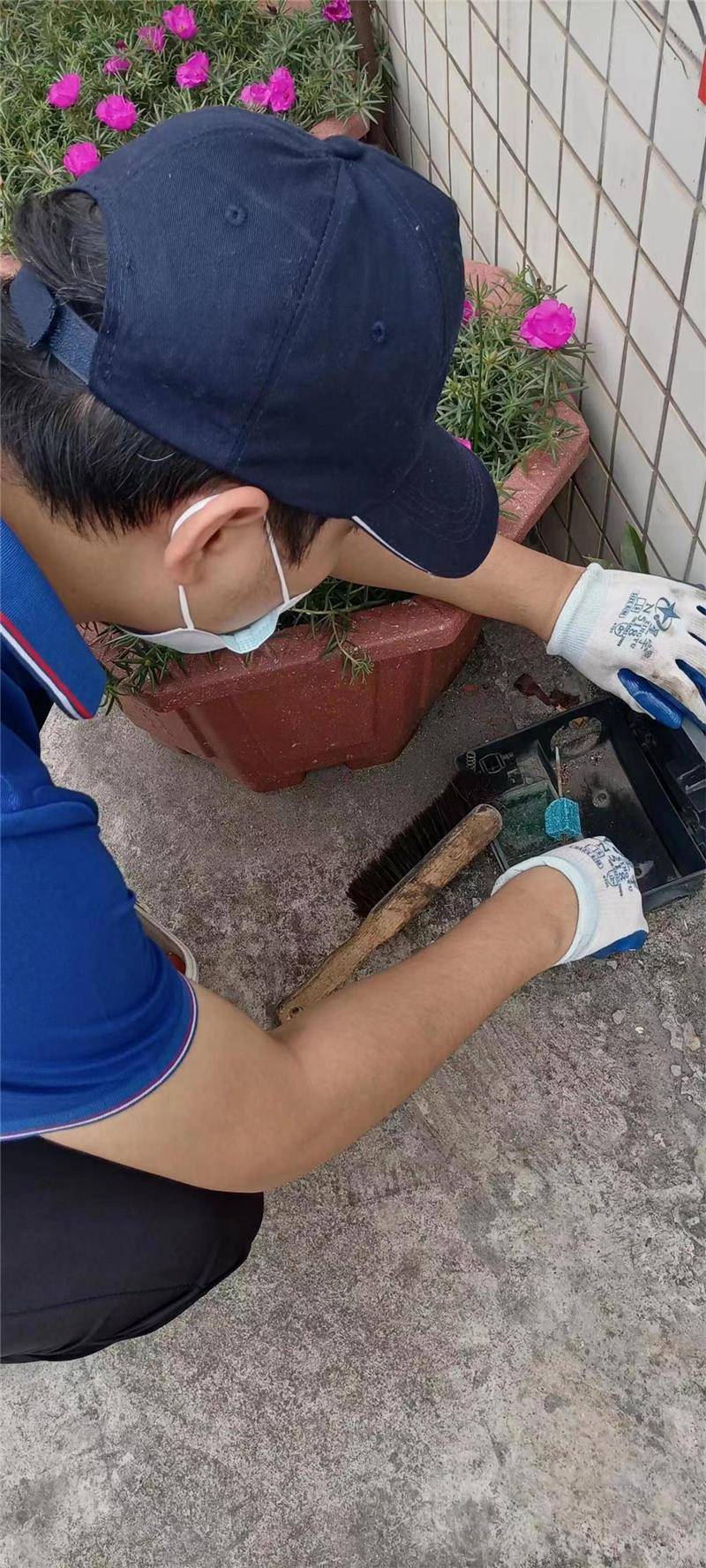 办公室杀虫灭鼠公司告诉你化学灭鼠需要注意什么?_进行_实际操作_防护