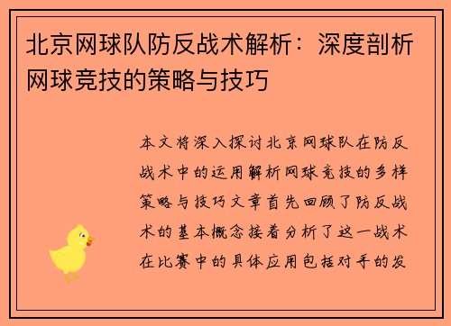 北京网球队防反战术解析：深度剖析网球竞技的策略与技巧
