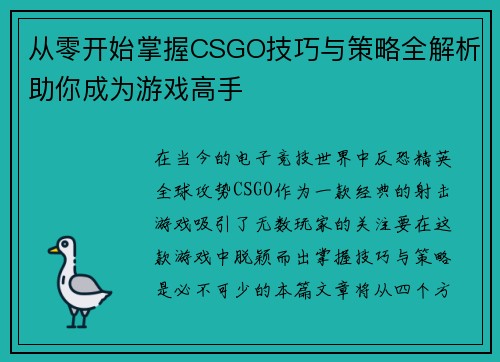 从零开始掌握CSGO技巧与策略全解析助你成为游戏高手