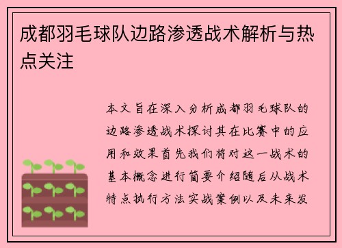 成都羽毛球队边路渗透战术解析与热点关注