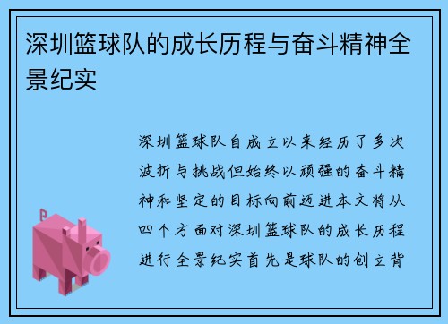 深圳篮球队的成长历程与奋斗精神全景纪实