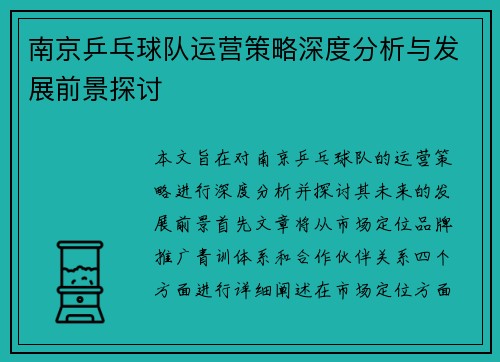 南京乒乓球队运营策略深度分析与发展前景探讨